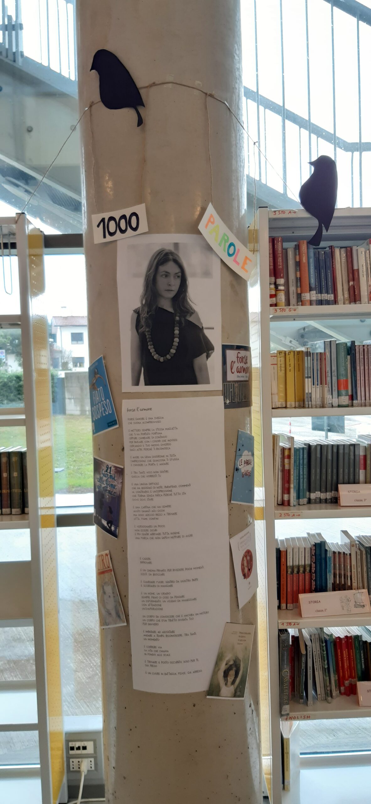 Installazione per l'incontro con l'autrice Silvia Vecchini